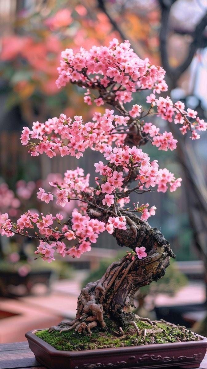 Tiny nature’s art ❤️