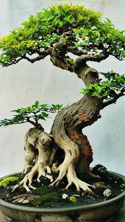 Nature in miniature ❤️