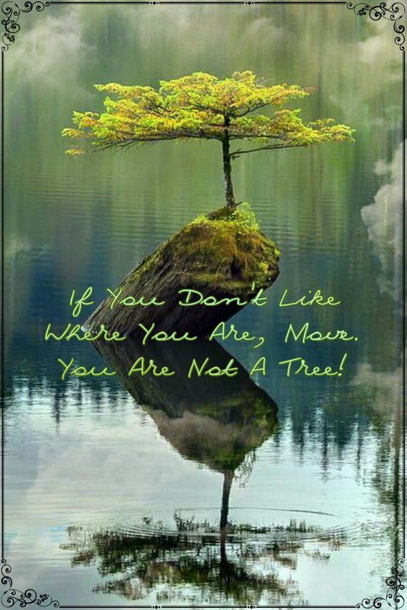 Love This! 