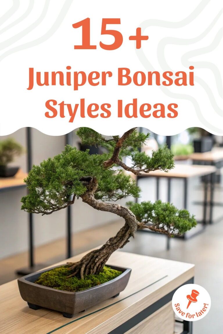 My bonsai dream ❤️