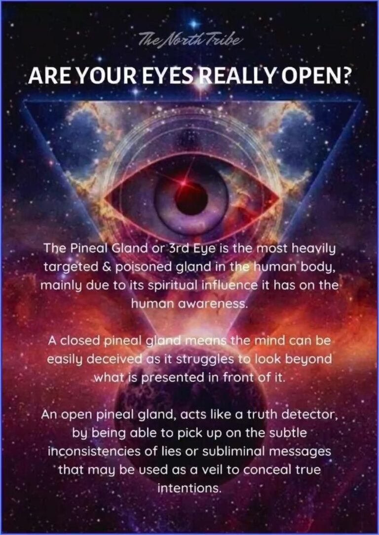 Healing requires silence ✨❤️ Like if you’re choosing peace today.