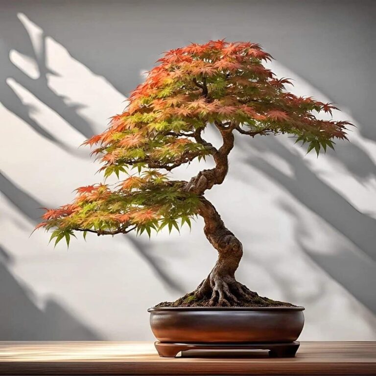 Bonsai bliss ❤️