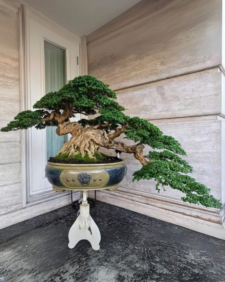 Incredible details ❤️