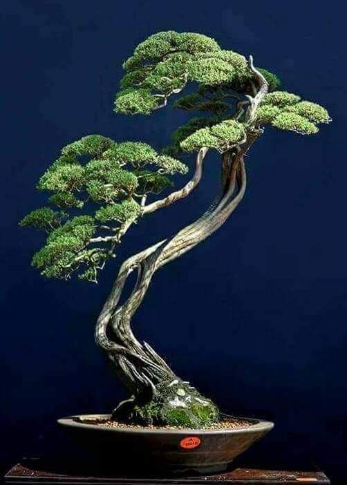 Incredible details ❤️