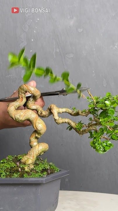 Tiny nature’s art ❤️