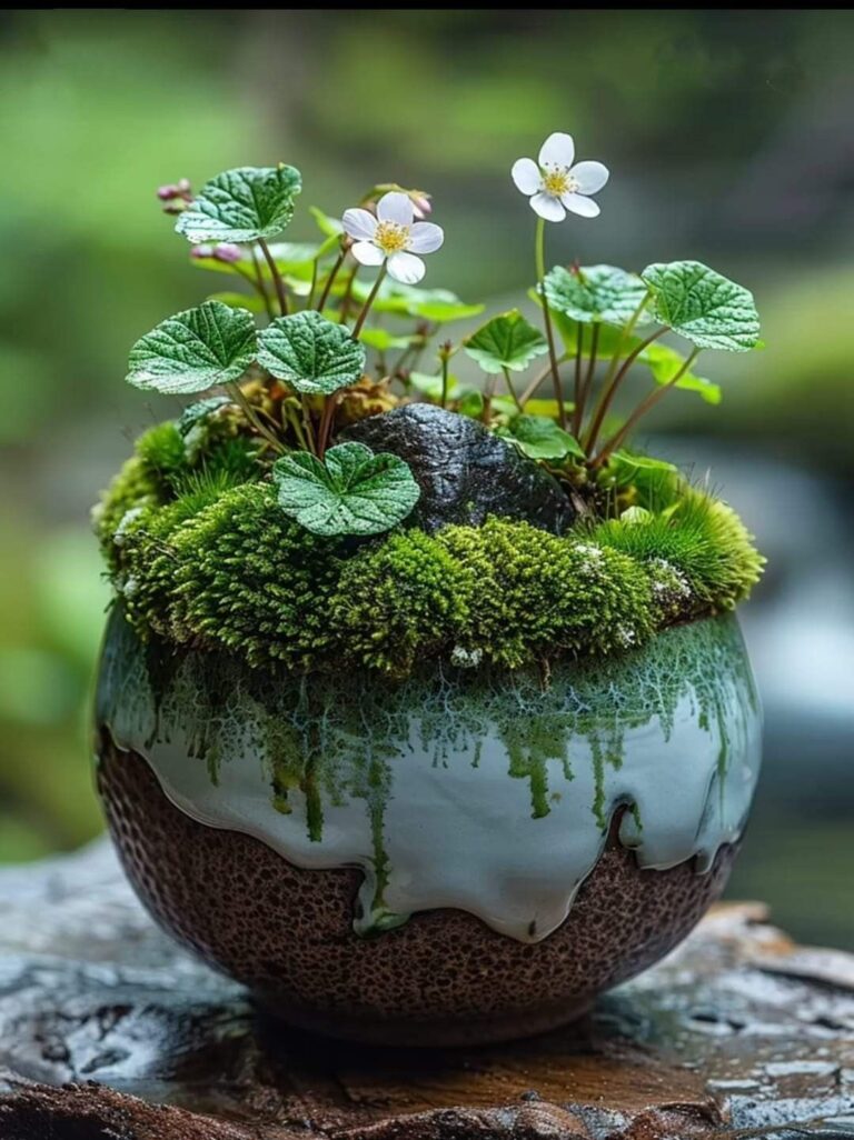 Nature in miniature ❤️